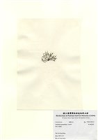 藏品(傘房龍鬚菜)的圖片